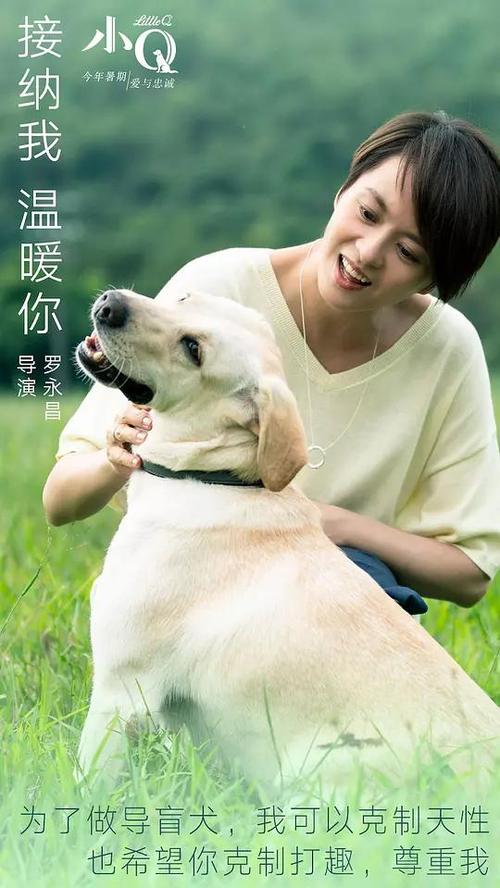 高中毕业证没了怎么补